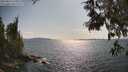 ./images/koeye/fitz-hugh/20250614/fitz-hugh20250614_170012M.jpg