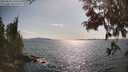 ./images/koeye/fitz-hugh/20250614/fitz-hugh20250614_170509M.jpg