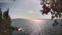 ./images/koeye/fitz-hugh/20250614/fitz-hugh20250614_171011M.jpg