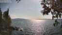 ./images/koeye/fitz-hugh/20250614/fitz-hugh20250614_171510M.jpg