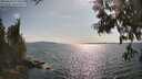 ./images/koeye/fitz-hugh/20250614/fitz-hugh20250614_172009M.jpg