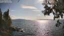 ./images/koeye/fitz-hugh/20250614/fitz-hugh20250614_174011M.jpg