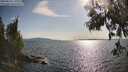 ./images/koeye/fitz-hugh/20250614/fitz-hugh20250614_175510M.jpg