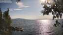 ./images/koeye/fitz-hugh/20250614/fitz-hugh20250614_180509M.jpg