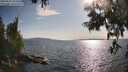 ./images/koeye/fitz-hugh/20250614/fitz-hugh20250614_181010M.jpg