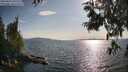 ./images/koeye/fitz-hugh/20250614/fitz-hugh20250614_181511M.jpg