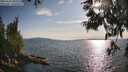 ./images/koeye/fitz-hugh/20250614/fitz-hugh20250614_183510M.jpg