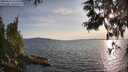 ./images/koeye/fitz-hugh/20250614/fitz-hugh20250614_193508M.jpg