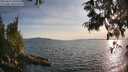 ./images/koeye/fitz-hugh/20250614/fitz-hugh20250614_194507M.jpg