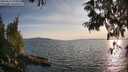 ./images/koeye/fitz-hugh/20250614/fitz-hugh20250614_195007M.jpg