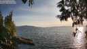./images/koeye/fitz-hugh/20250614/fitz-hugh20250614_195507M.jpg