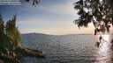 ./images/koeye/fitz-hugh/20250614/fitz-hugh20250614_200010M.jpg