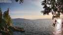./images/koeye/fitz-hugh/20250614/fitz-hugh20250614_200508M.jpg