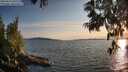 ./images/koeye/fitz-hugh/20250614/fitz-hugh20250614_202008M.jpg