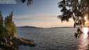 ./images/koeye/fitz-hugh/20250614/fitz-hugh20250614_202509M.jpg