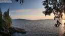 ./images/koeye/fitz-hugh/20250614/fitz-hugh20250614_203509M.jpg