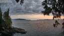 ./images/koeye/fitz-hugh/20250614/fitz-hugh20250614_215008M.jpg