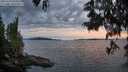 ./images/koeye/fitz-hugh/20250614/fitz-hugh20250614_215508M.jpg