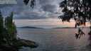 ./images/koeye/fitz-hugh/20250614/fitz-hugh20250614_220508M.jpg