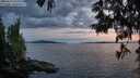 ./images/koeye/fitz-hugh/20250614/fitz-hugh20250614_221009M.jpg