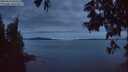 ./images/koeye/fitz-hugh/20250615/fitz-hugh20250615_042508M.jpg