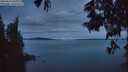 ./images/koeye/fitz-hugh/20250615/fitz-hugh20250615_043009M.jpg