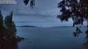 ./images/koeye/fitz-hugh/20250615/fitz-hugh20250615_043508M.jpg