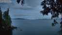 ./images/koeye/fitz-hugh/20250615/fitz-hugh20250615_044009M.jpg