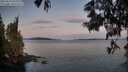 ./images/koeye/fitz-hugh/20250615/fitz-hugh20250615_053508M.jpg