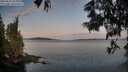 ./images/koeye/fitz-hugh/20250615/fitz-hugh20250615_055008M.jpg