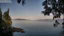 ./images/koeye/fitz-hugh/20250615/fitz-hugh20250615_063010M.jpg