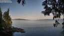 ./images/koeye/fitz-hugh/20250615/fitz-hugh20250615_063510M.jpg