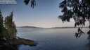 ./images/koeye/fitz-hugh/20250615/fitz-hugh20250615_070509M.jpg