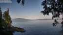 ./images/koeye/fitz-hugh/20250615/fitz-hugh20250615_071010M.jpg