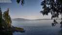 ./images/koeye/fitz-hugh/20250615/fitz-hugh20250615_071510M.jpg