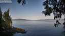 ./images/koeye/fitz-hugh/20250615/fitz-hugh20250615_072011M.jpg