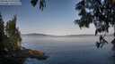 ./images/koeye/fitz-hugh/20250615/fitz-hugh20250615_072509M.jpg
