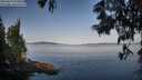 ./images/koeye/fitz-hugh/20250615/fitz-hugh20250615_073010M.jpg