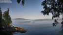 ./images/koeye/fitz-hugh/20250615/fitz-hugh20250615_073508M.jpg
