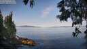 ./images/koeye/fitz-hugh/20250615/fitz-hugh20250615_075010M.jpg