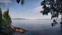 ./images/koeye/fitz-hugh/20250615/fitz-hugh20250615_075509M.jpg
