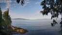 ./images/koeye/fitz-hugh/20250615/fitz-hugh20250615_080509M.jpg