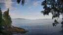 ./images/koeye/fitz-hugh/20250615/fitz-hugh20250615_081010M.jpg