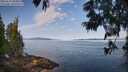 ./images/koeye/fitz-hugh/20250615/fitz-hugh20250615_084011M.jpg