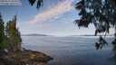 ./images/koeye/fitz-hugh/20250615/fitz-hugh20250615_084511M.jpg