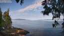 ./images/koeye/fitz-hugh/20250615/fitz-hugh20250615_085010M.jpg