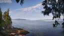./images/koeye/fitz-hugh/20250615/fitz-hugh20250615_085508M.jpg