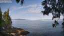./images/koeye/fitz-hugh/20250615/fitz-hugh20250615_090012M.jpg