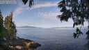 ./images/koeye/fitz-hugh/20250615/fitz-hugh20250615_090510M.jpg
