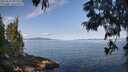 ./images/koeye/fitz-hugh/20250615/fitz-hugh20250615_091511M.jpg